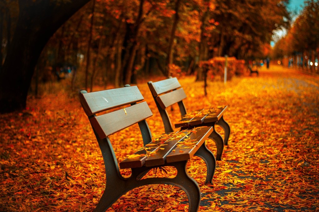 School Life: Bench Yourself and Listen