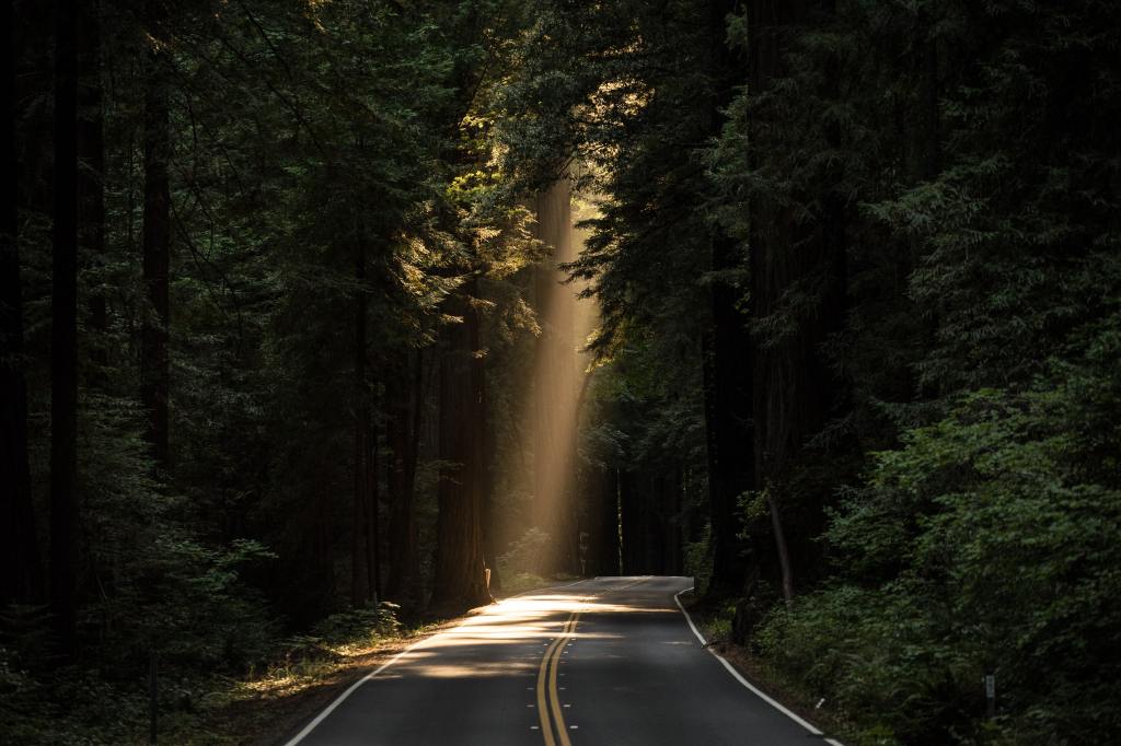 Flourish: The Road To Developing Student Character